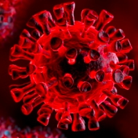 Aggiornamento coronavirus: 304 positivi e 2 decessi