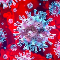 Aggiornamento coronavirus: un decesso, 326 positivi