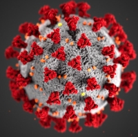 Aggiornamento coronavirus: 155 positivi, un decesso