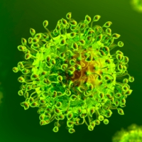 Aggiornamento coronavirus: due decessi