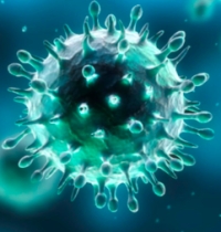 Aggiornamento coronavirus: due decessi, 272 nuovi positivi