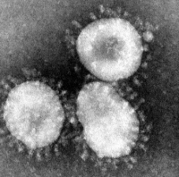 Coronavirus, primo decesso in Emilia-Romagna