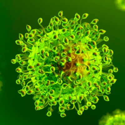 Coronavirus: 268 positivi