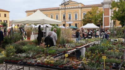 Santarcangelo, torna la fiera di San Michele: si entra con il green pass