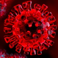 Aggiornamento coronavirus: 35 positivi