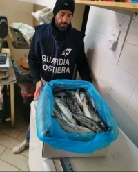 Guardia costiera, sequestrati 400 chili di pesce