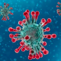 Aggiornamento coronavirus: 115 positivi, 2 decessi