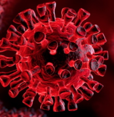 Aggiornamento coronavirus, +137 positivi