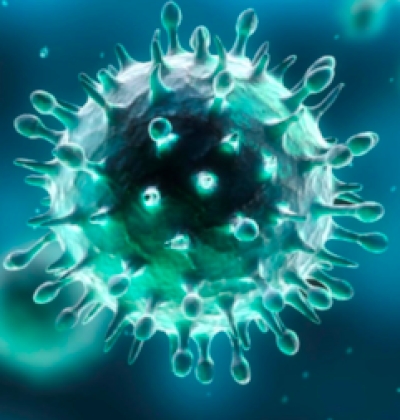 Aggiornamento coronavirus: 232 positivi,