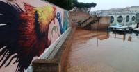 nuovi murales in città