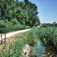 Verucchio, caccia vietata lungo il Marecchia