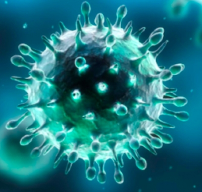 Aggiornamento coronavirus, +114 positivi