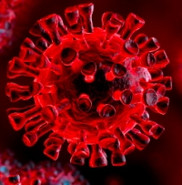 Aggiornamento coronavirus: +193 positivi, 5 decessi, 46 guarigioni