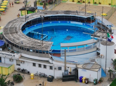 Fondazione cetacea, Riccione scrive a Rimini per conoscere i tempi per l&#039;uso del delfinario