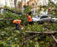 Maltempo, la protesta della Lega: alberi pericolanti e insegne  penzolanti