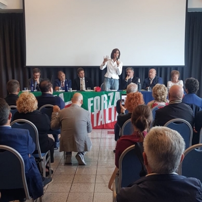 I motori di Forza Italia sono rimasti senza miscela