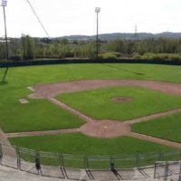 Stadio del baseball e circoli tennis, al via restyling per 4 impianti