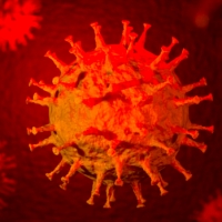 Aggiornamento coronavirus: 27 positivi, nessun decesso