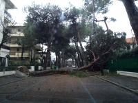 maltempo, a riccione