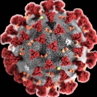 Aggiornamento coronavirus, un nuovo contagio nel riminese