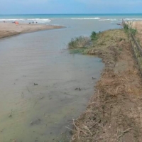 Riccione, il sindaco sblocca la balneazione al Marano